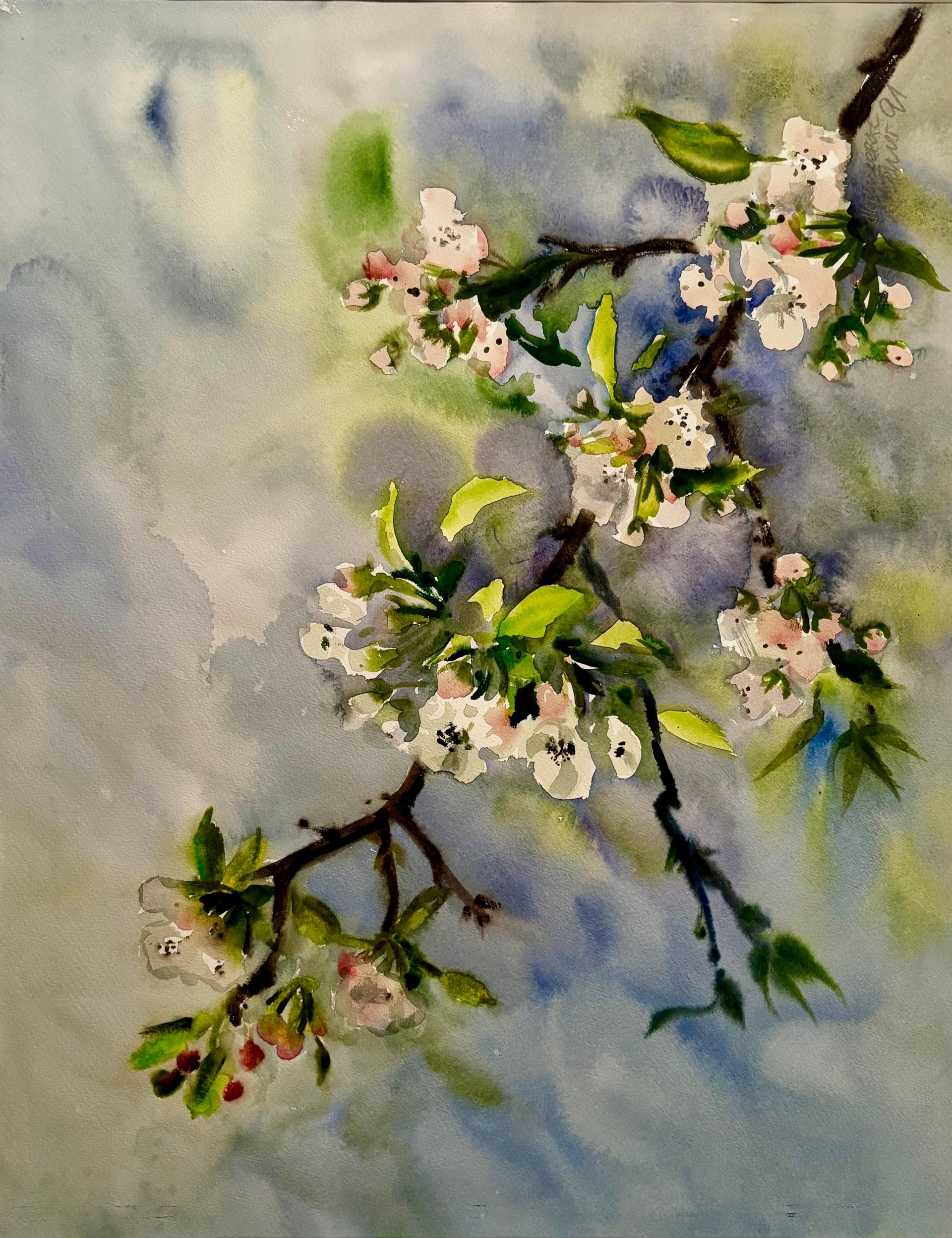 Apfelblüten