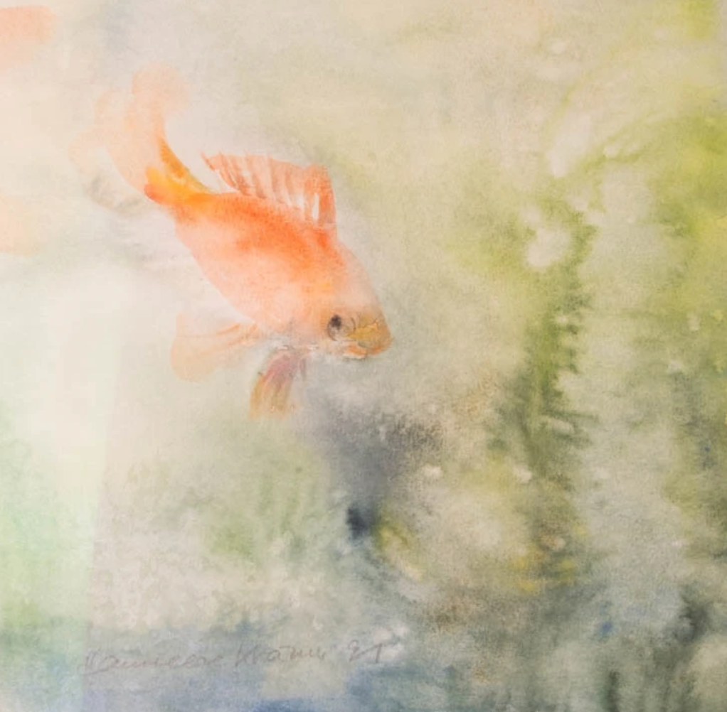 Goldfisch, 2021